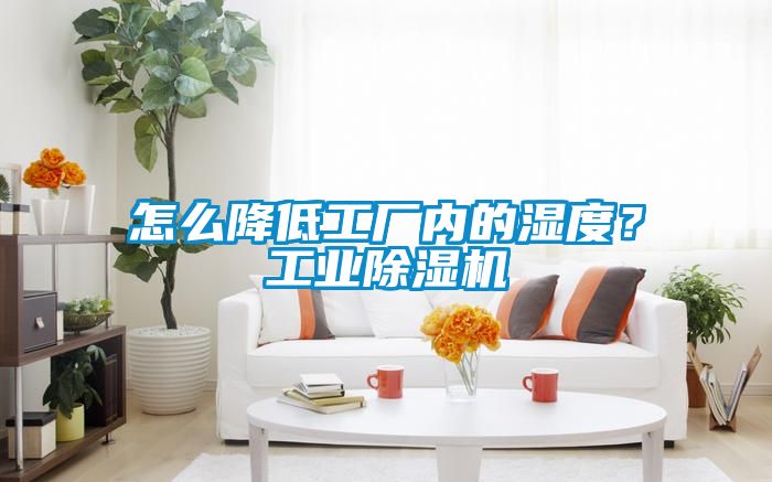 怎么降低工廠內(nèi)的濕度？工業(yè)除濕機