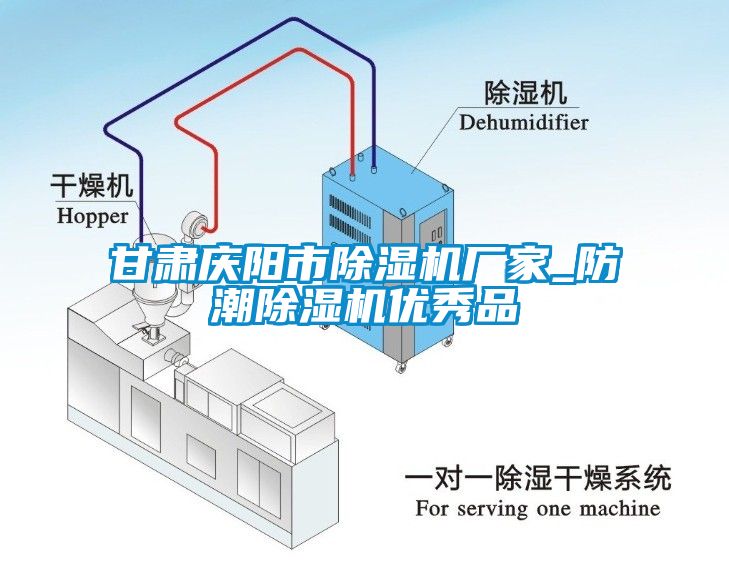 甘肅慶陽(yáng)市除濕機(jī)廠(chǎng)家_防潮除濕機(jī)優(yōu)秀品