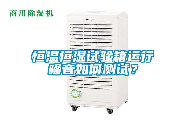 恒溫恒濕試驗箱運行噪音如何測試？