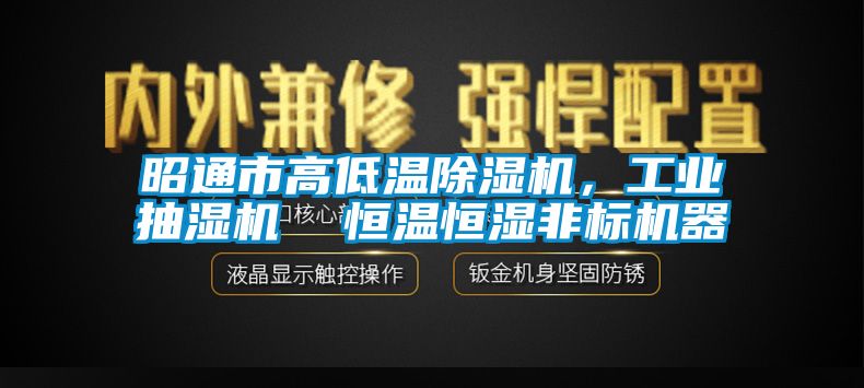 昭通市高低溫除濕機(jī)，工業(yè)抽濕機(jī)  恒溫恒濕非標(biāo)機(jī)器