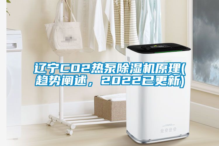 遼寧CO2熱泵除濕機(jī)原理(趨勢(shì)闡述，2022已更新)