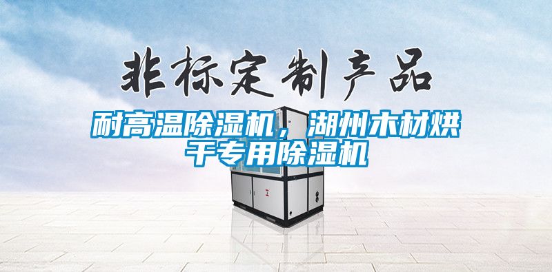 耐高溫除濕機(jī)，湖州木材烘干專用除濕機(jī)