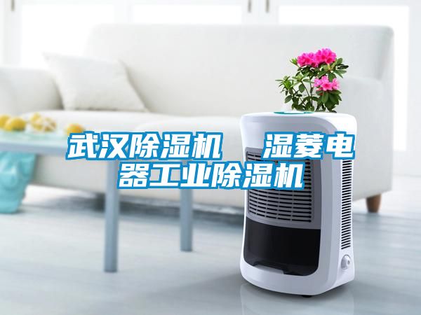 武漢除濕機  濕菱電器工業(yè)除濕機