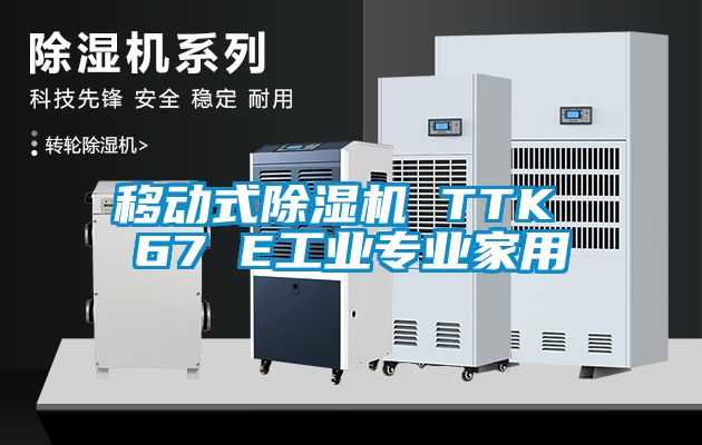 移動式除濕機(jī) TTK 67 E工業(yè)專業(yè)家用