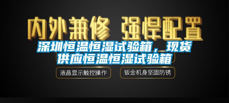 深圳恒溫恒濕試驗(yàn)箱，現(xiàn)貨供應(yīng)恒溫恒濕試驗(yàn)箱