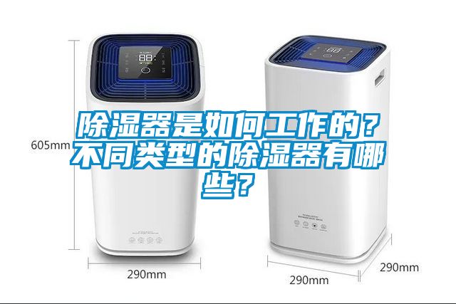 除濕器是如何工作的？不同類型的除濕器有哪些？