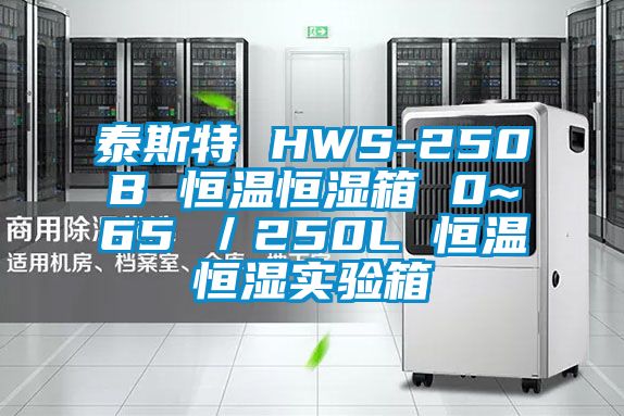 泰斯特 HWS-250B 恒溫恒濕箱 0~65℃／250L 恒溫恒濕實驗箱