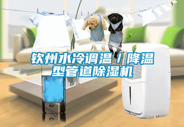 欽州水冷調(diào)溫／降溫型管道除濕機