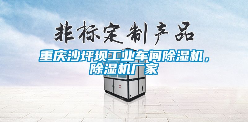 重慶沙坪壩工業(yè)車(chē)間除濕機(jī)，除濕機(jī)廠家