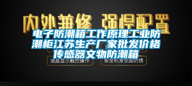 電子防潮箱工作原理工業(yè)防潮柜江蘇生產(chǎn)廠家批發(fā)價格傳感器文物防潮箱