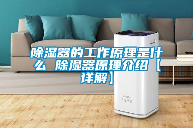 除濕器的工作原理是什么 除濕器原理介紹【詳解】