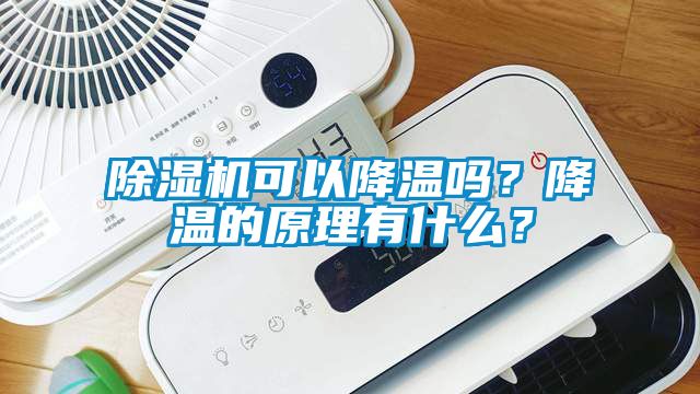 除濕機(jī)可以降溫嗎？降溫的原理有什么？