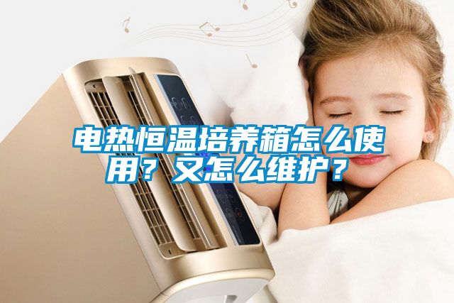 電熱恒溫培養(yǎng)箱怎么使用？又怎么維護(hù)？