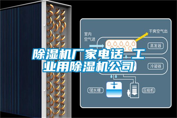 除濕機廠家電話 工業(yè)用除濕機公司