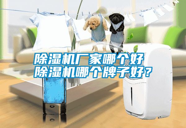 除濕機(jī)廠家哪個(gè)好 除濕機(jī)哪個(gè)牌子好？