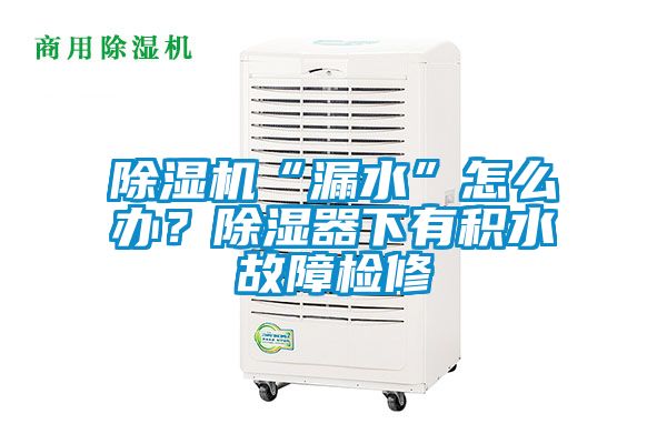 除濕機“漏水”怎么辦？除濕器下有積水故障檢修