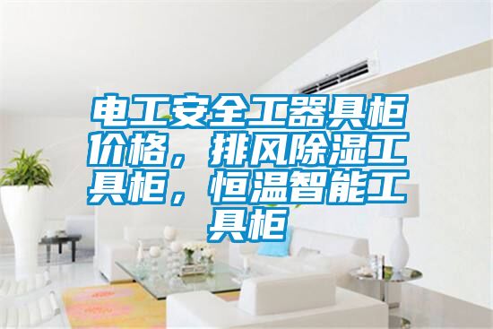 電工安全工器具柜價格，排風(fēng)除濕工具柜，恒溫智能工具柜