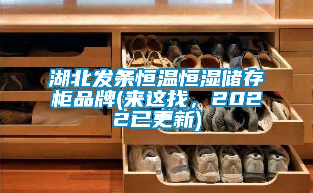 湖北發(fā)條恒溫恒濕儲存柜品牌(來這找，2022已更新)