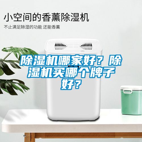 除濕機哪家好？除濕機買哪個牌子好？