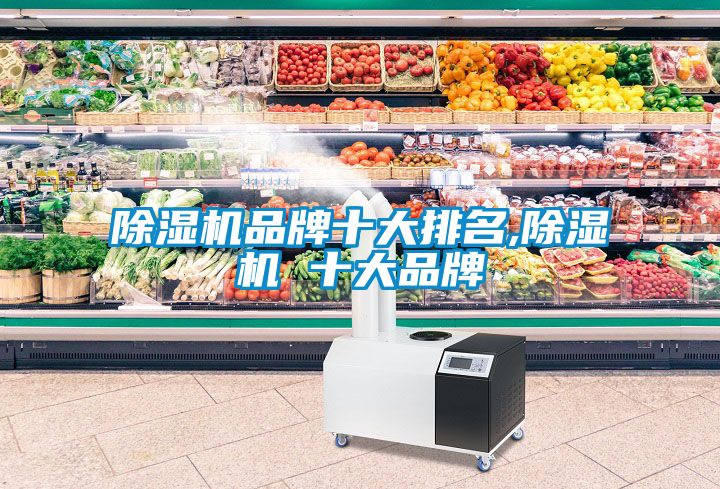 除濕機品牌十大排名,除濕機 十大品牌