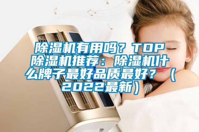 除濕機有用嗎？TOP除濕機推薦：除濕機什么牌子最好品質最好？（2022最新）