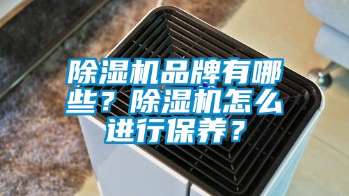 除濕機品牌有哪些？除濕機怎么進行保養(yǎng)？