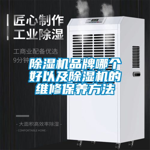 除濕機(jī)品牌哪個好以及除濕機(jī)的維修保養(yǎng)方法