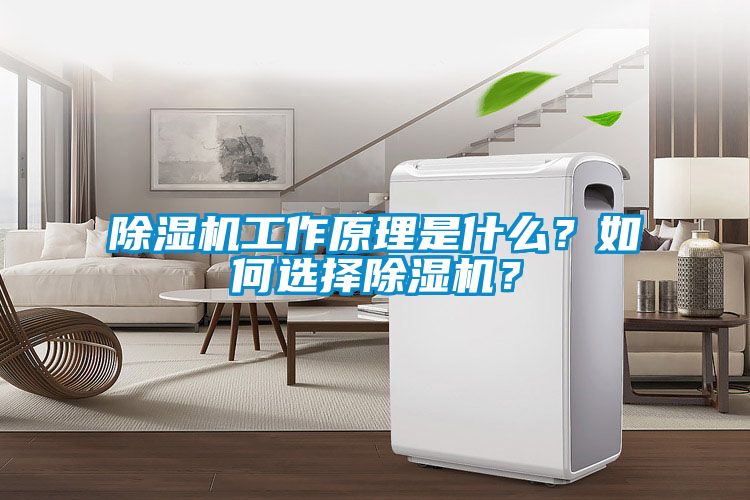 除濕機(jī)工作原理是什么？如何選擇除濕機(jī)？