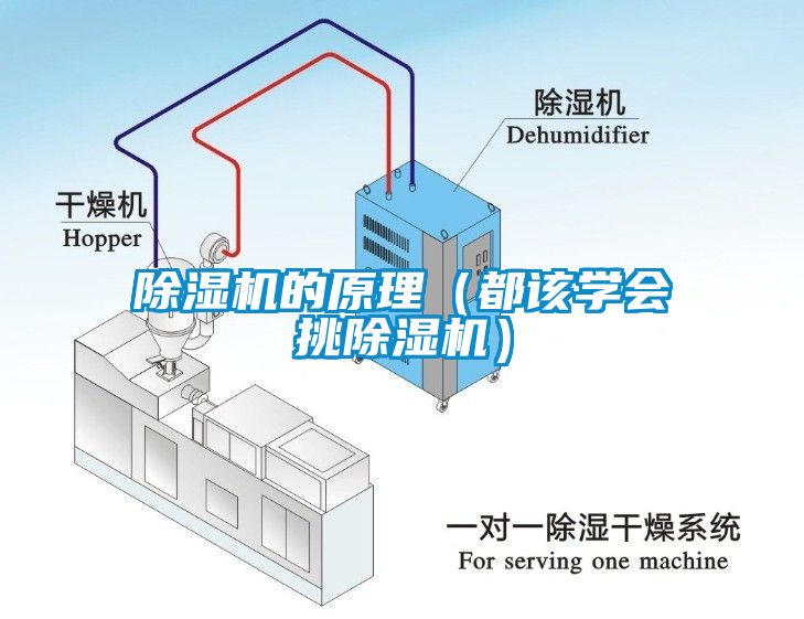 除濕機的原理（都該學(xué)會挑除濕機）