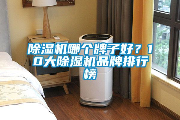 除濕機哪個牌子好？10大除濕機品牌排行榜