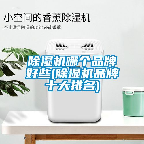 除濕機(jī)哪個(gè)品牌好些(除濕機(jī)品牌十大排名)