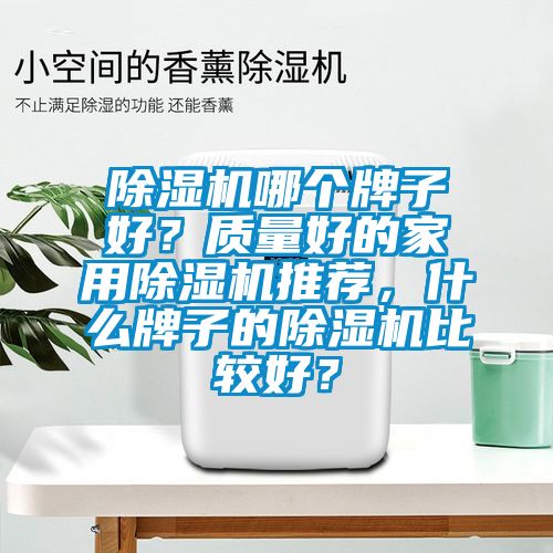 除濕機(jī)哪個牌子好？質(zhì)量好的家用除濕機(jī)推薦，什么牌子的除濕機(jī)比較好？