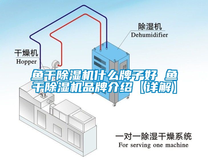 魚干除濕機(jī)什么牌子好 魚干除濕機(jī)品牌介紹【詳解】