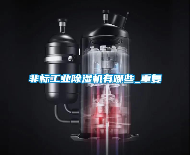 非標工業(yè)除濕機有哪些_重復(fù)