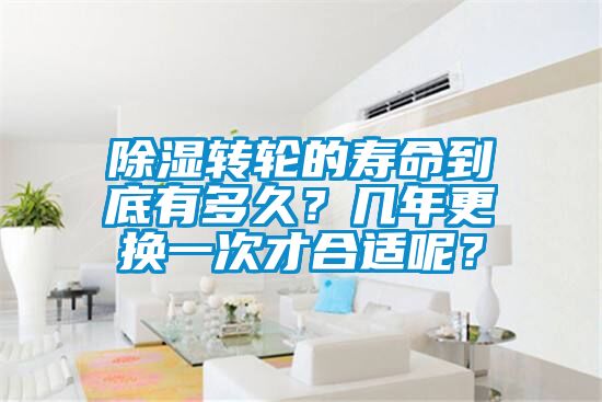 除濕轉(zhuǎn)輪的壽命到底有多久？幾年更換一次才合適呢？