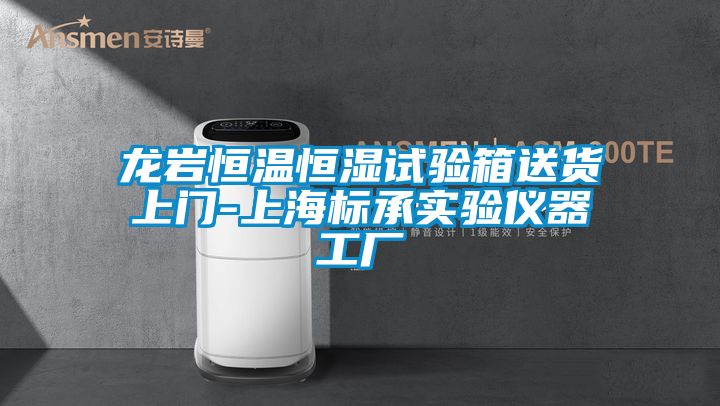 龍巖恒溫恒濕試驗箱送貨上門-上海標承實驗儀器工廠