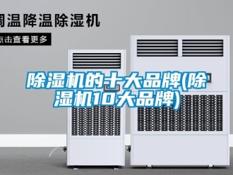 企業(yè)新聞除濕機(jī)的十大品牌(除濕機(jī)10大品牌)