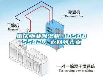 常見問題重慶工業(yè)除濕機(jī) 1858055927 返回列表頁