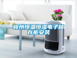 知識百科贛州恒溫恒濕電子儲存柜安裝