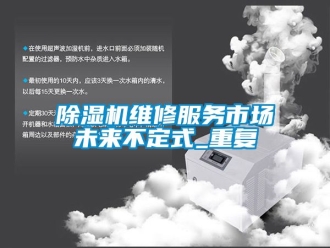 行業(yè)新聞除濕機維修服務(wù)市場未來不定式_重復(fù)