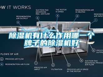 行業(yè)新聞除濕機(jī)有什么作用哪一個(gè)牌子的除濕機(jī)好