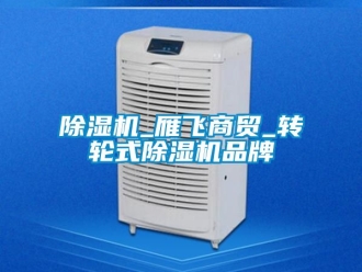 常見問題除濕機_雁飛商貿(mào)_轉(zhuǎn)輪式除濕機品牌