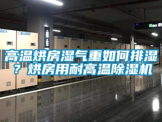 行業(yè)新聞高溫烘房濕氣重如何排濕？烘房用耐高溫除濕機(jī)