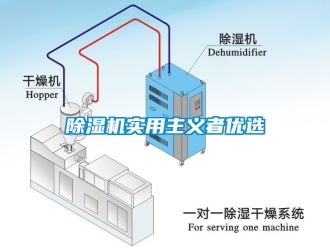 行業(yè)新聞除濕機(jī)實(shí)用主義者優(yōu)選