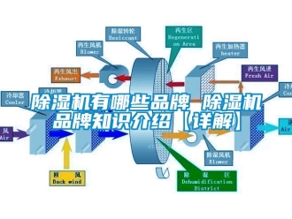 企業(yè)新聞除濕機(jī)有哪些品牌 除濕機(jī)品牌知識(shí)介紹【詳解】