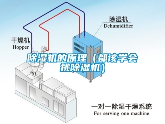 企業(yè)新聞除濕機的原理（都該學會挑除濕機）