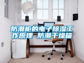 常見問(wèn)題防潮柜的電子除濕工作原理 防潮干燥箱