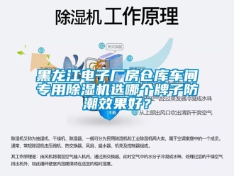 企業(yè)新聞黑龍江電子廠房倉庫車間專用除濕機選哪個牌子防潮效果好？