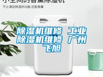 常見問題除濕機維修 工業(yè)除濕機維修 廣州飛旭