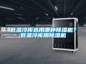 企業(yè)新聞低溫冷庫選用哪種除濕機(jī)？低溫冷庫用除濕機(jī)